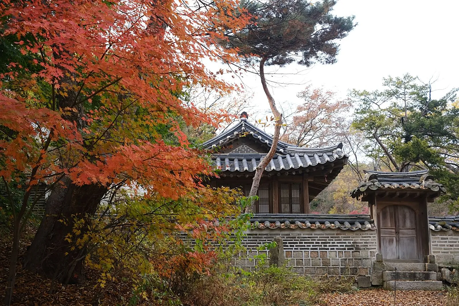 Secret Garden in red