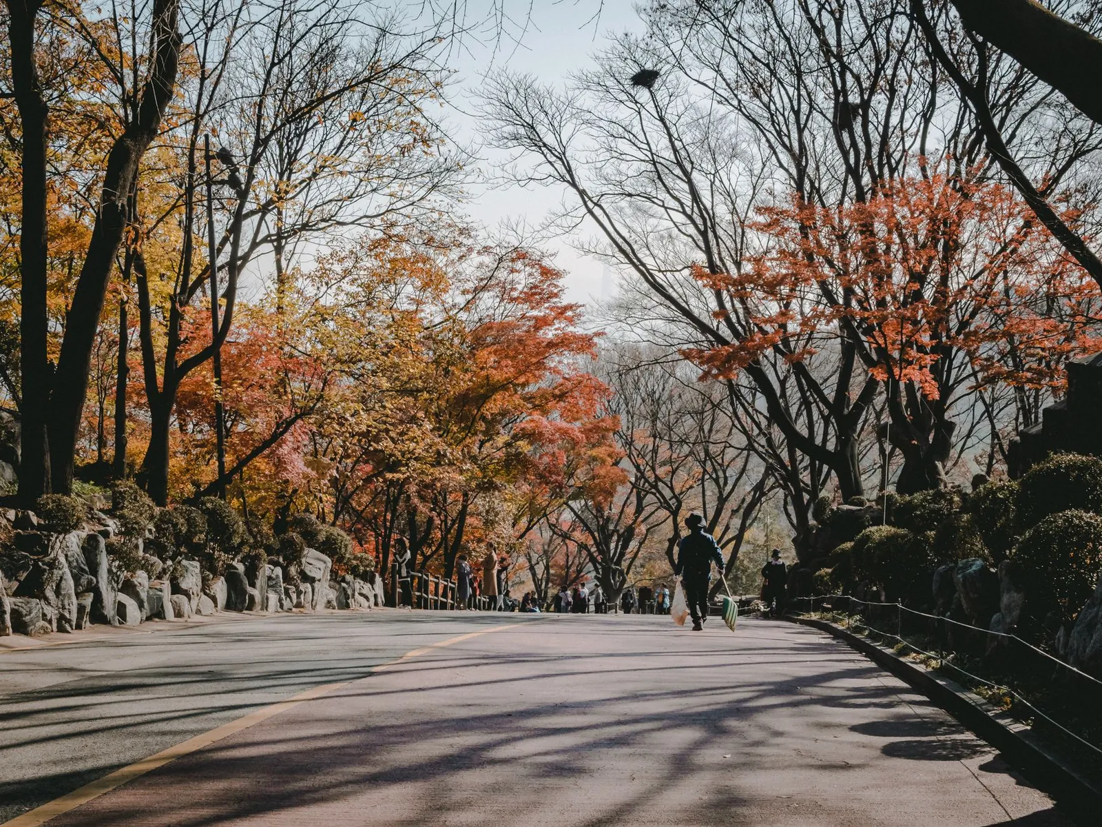 Foliage walk