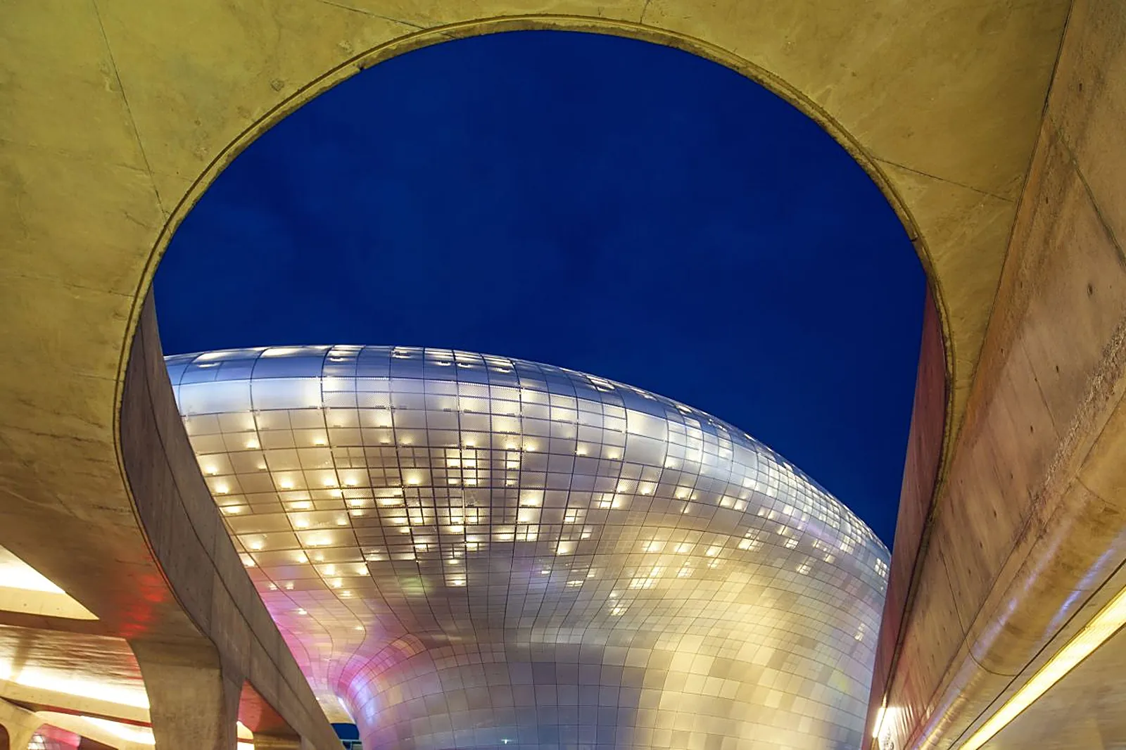 Curves of DDP