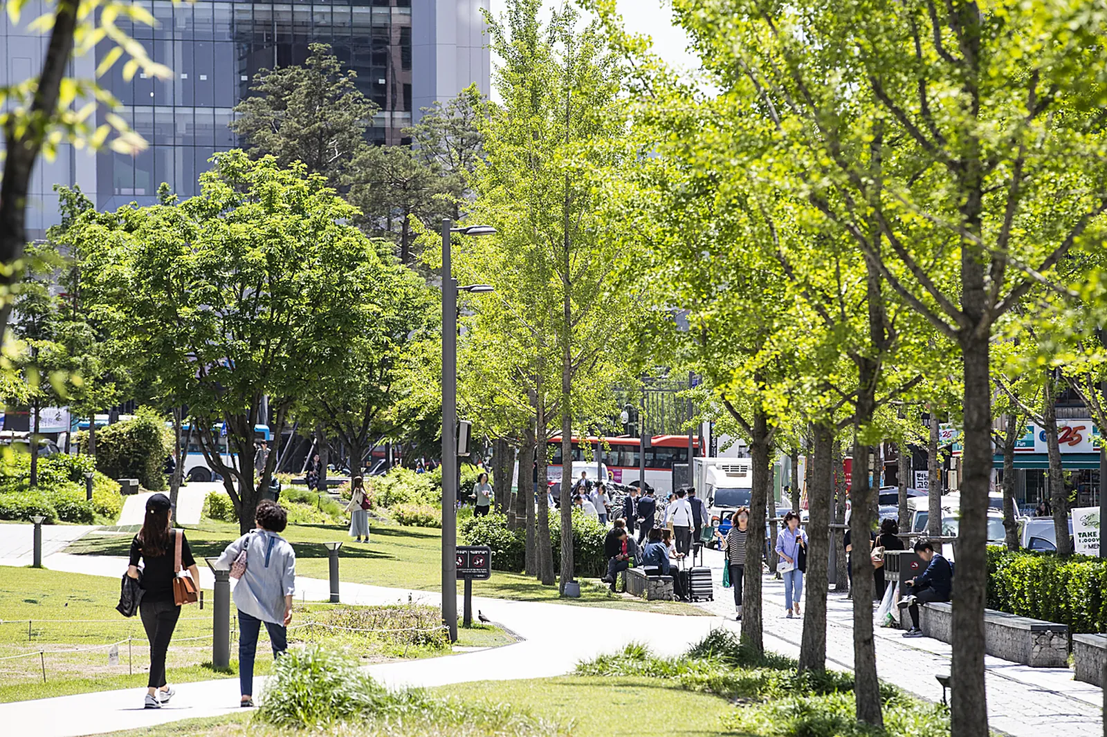 Yeontral Park evening
