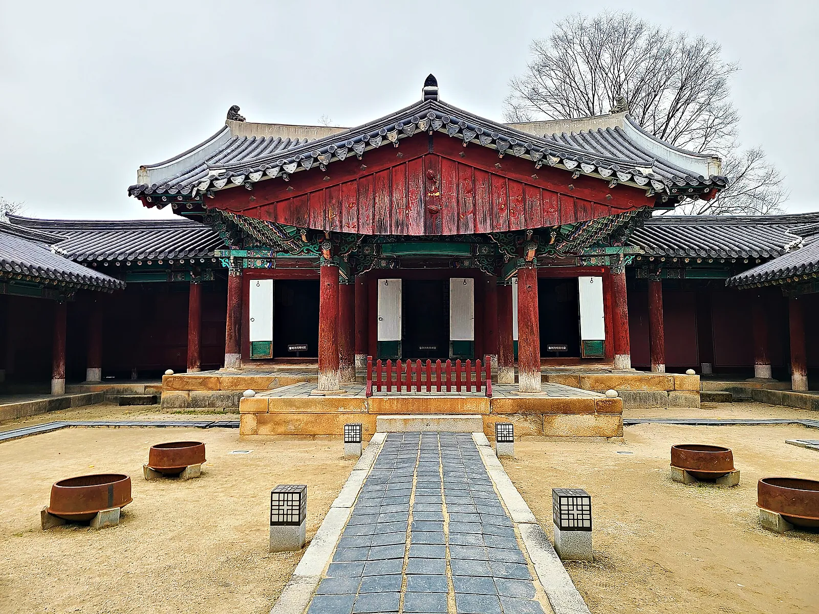 Bamboo grove