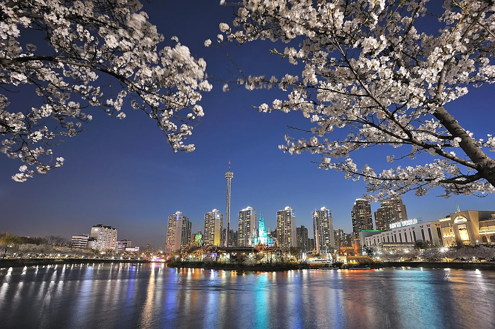 Seokchon blossoms