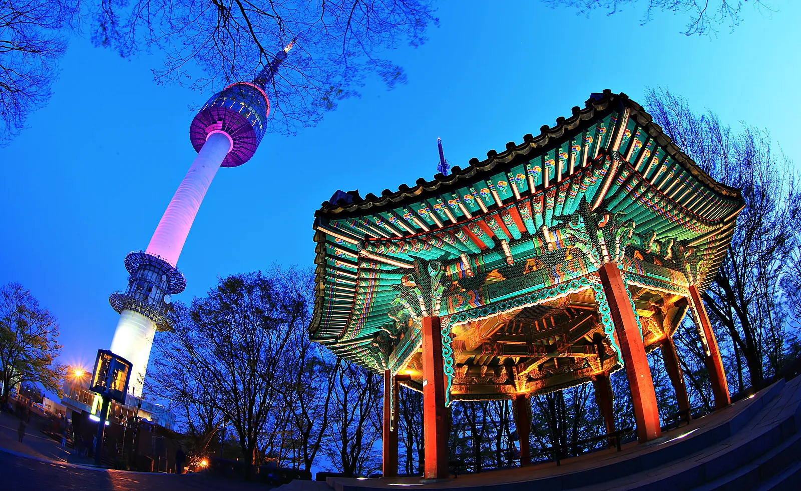 The tower at night