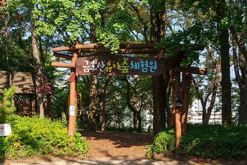 Namsan and the city wall