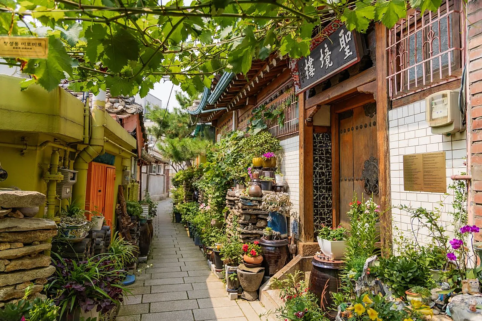 Old Seochon
