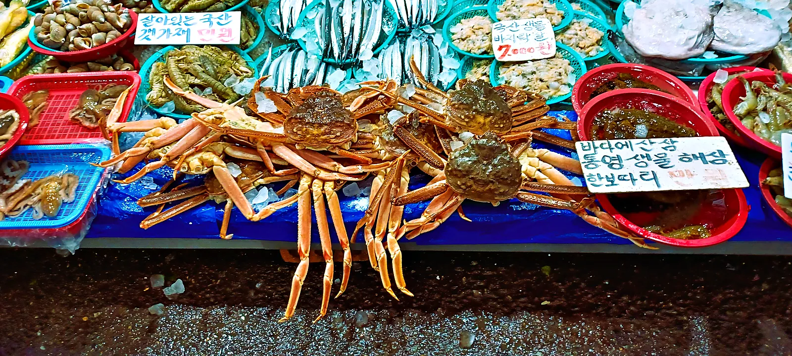 Mangwon Market