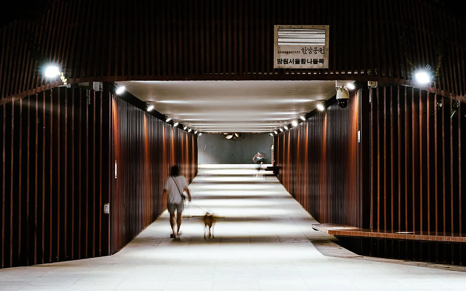 Mangwon Hangang Park