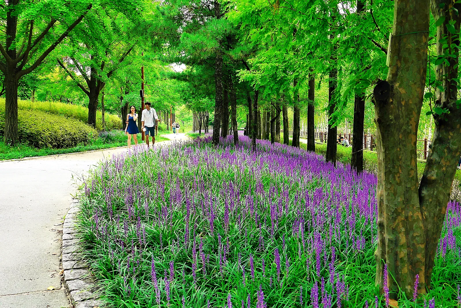 Seonyudo Park